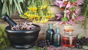 Tıbbi ve Aromatik Bitkiler İle Süs Bitkileri İçin Hazine Arazisi Tahsisi
